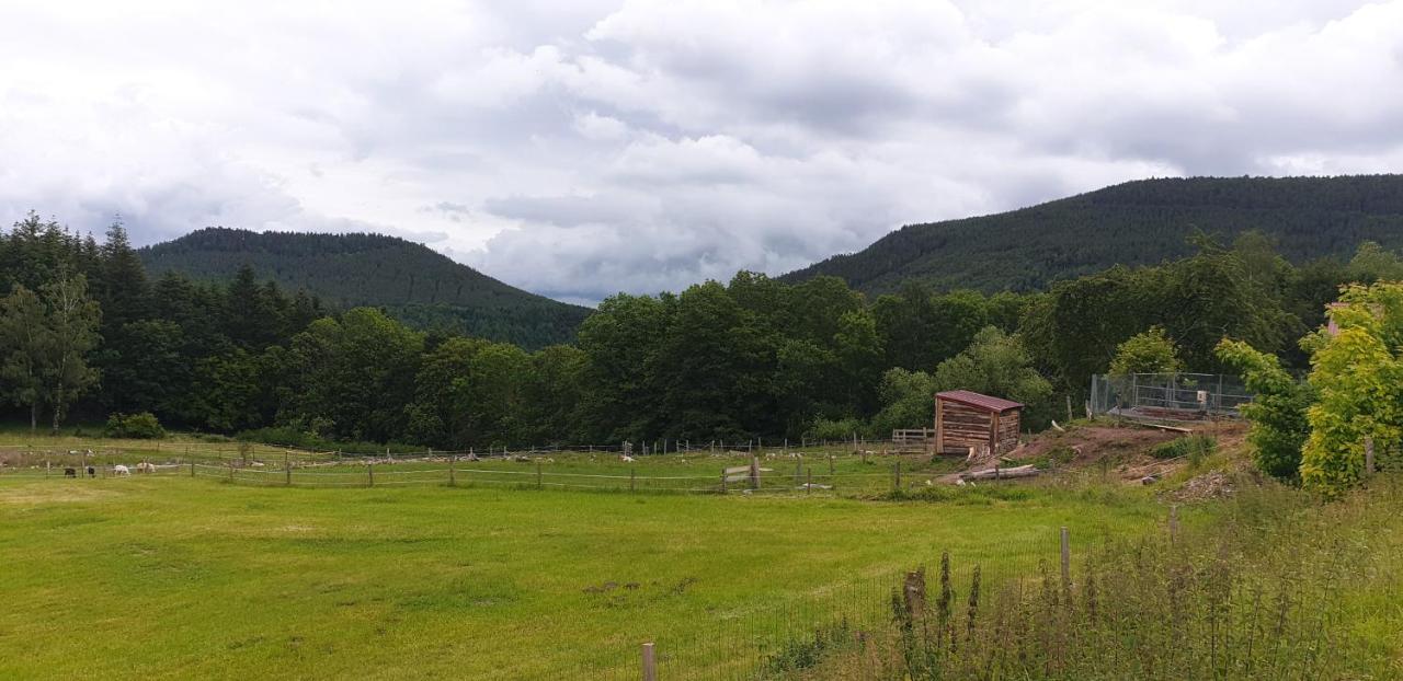 Domaine Des Cigogneaux 호텔 라바로슈 외부 사진